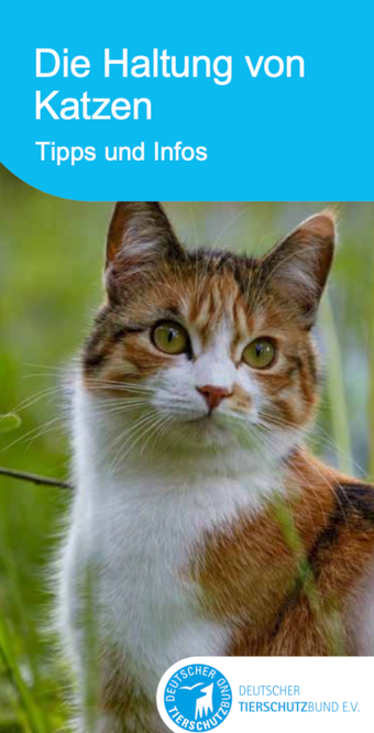 Broschüre des Deutschen Tierschutzbundes: Haltung von Katzen