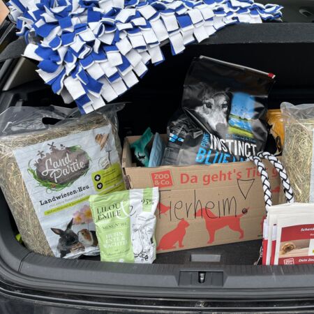 Kofferraum voll mit Futterspenden für das Tierheim