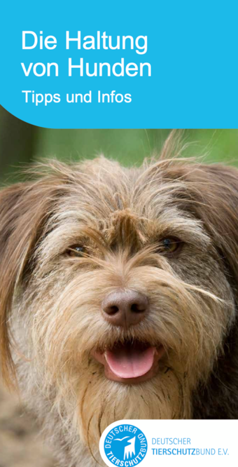 Broschüre des Deutschen Tierschutzbundes: Die Haltung von Hunden
