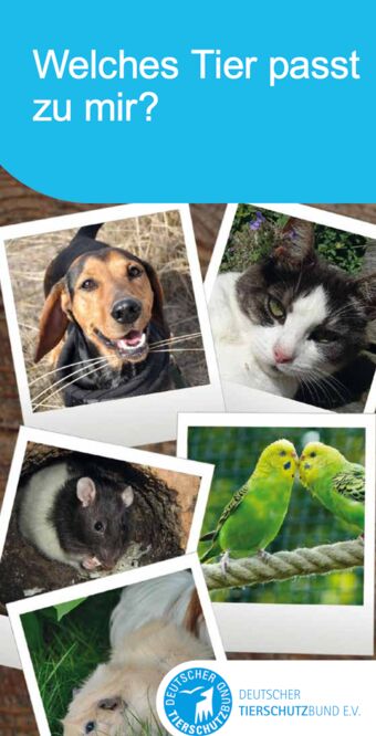 Broschüre des Deutschen Tierschutzbundes: Welches Tier passt zu mir?
