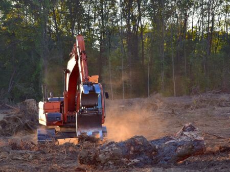 Forstarbeiten im Wald